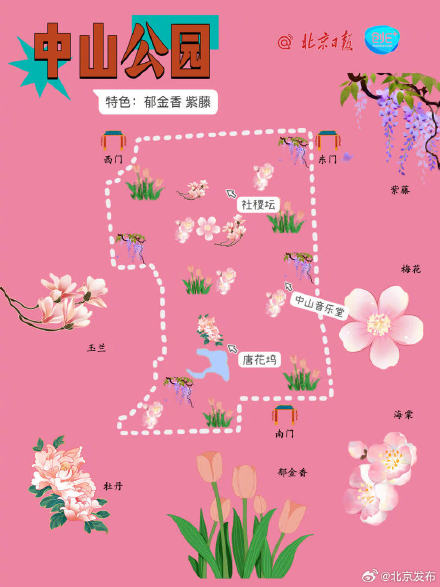 根本坐不住了！北京知名公园春游赏花图鉴上线