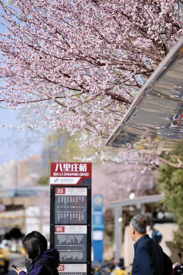 最近，北京海淀这个地铁口，刷屏了！