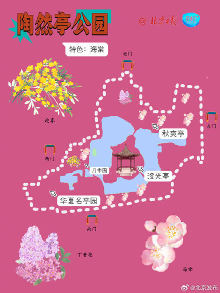 根本坐不住了！北京知名公园春游赏花图鉴上线