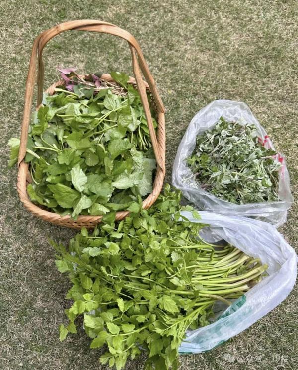 太火爆!杭州这拨大军,又出动了!有人专门跨越整座城,结果... 太火爆!杭州这拨大军,又出动了!有人专门跨越整座城,结果...