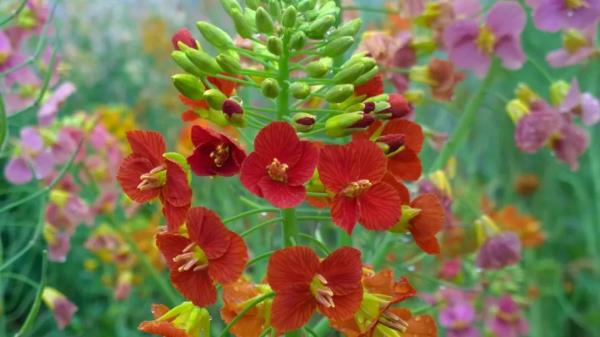 科技资讯｜研究实现单个纳米尺度物体无标记光学显微成像 等