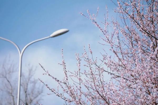 最近，北京海淀这个地铁口，刷屏了！