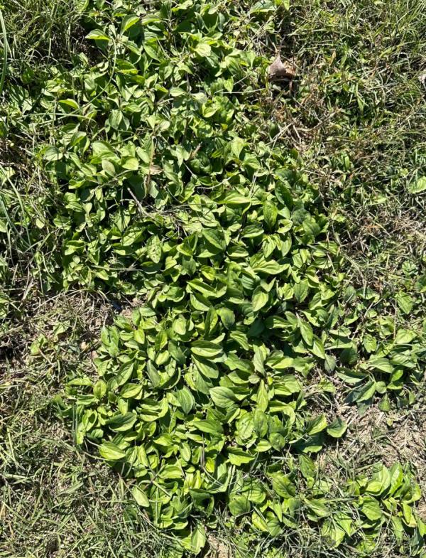 太火爆!杭州这拨大军,又出动了!有人专门跨越整座城,结果... 太火爆!杭州这拨大军,又出动了!有人专门跨越整座城,结果...