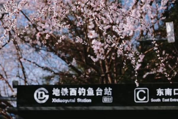 最近，北京海淀这个地铁口，刷屏了！