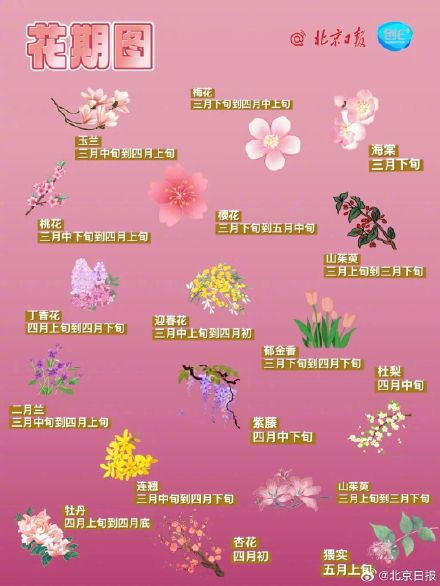 春日来信!打卡北京十个春花绽放的公园 春日来信!打卡北京十个春花绽放的公园