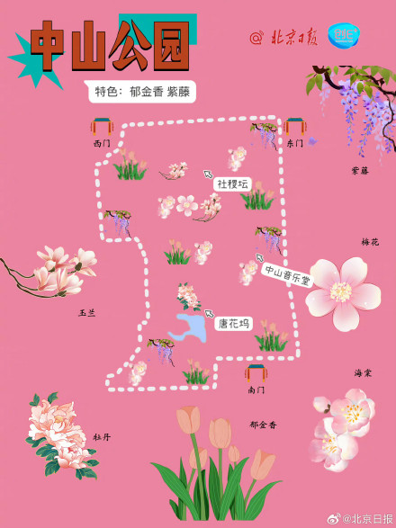春日来信!打卡北京十个春花绽放的公园 春日来信!打卡北京十个春花绽放的公园