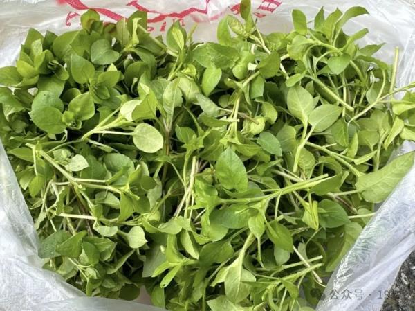 太火爆!杭州这拨大军,又出动了!有人专门跨越整座城,结果... 太火爆!杭州这拨大军,又出动了!有人专门跨越整座城,结果...