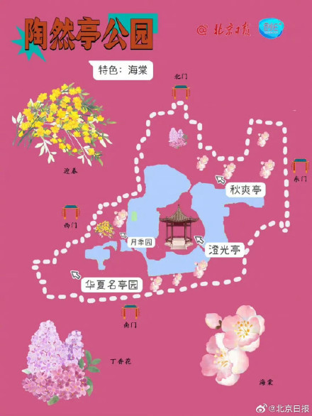 春日来信!打卡北京十个春花绽放的公园 春日来信!打卡北京十个春花绽放的公园