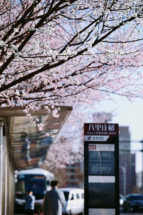 最近，北京海淀这个地铁口，刷屏了！