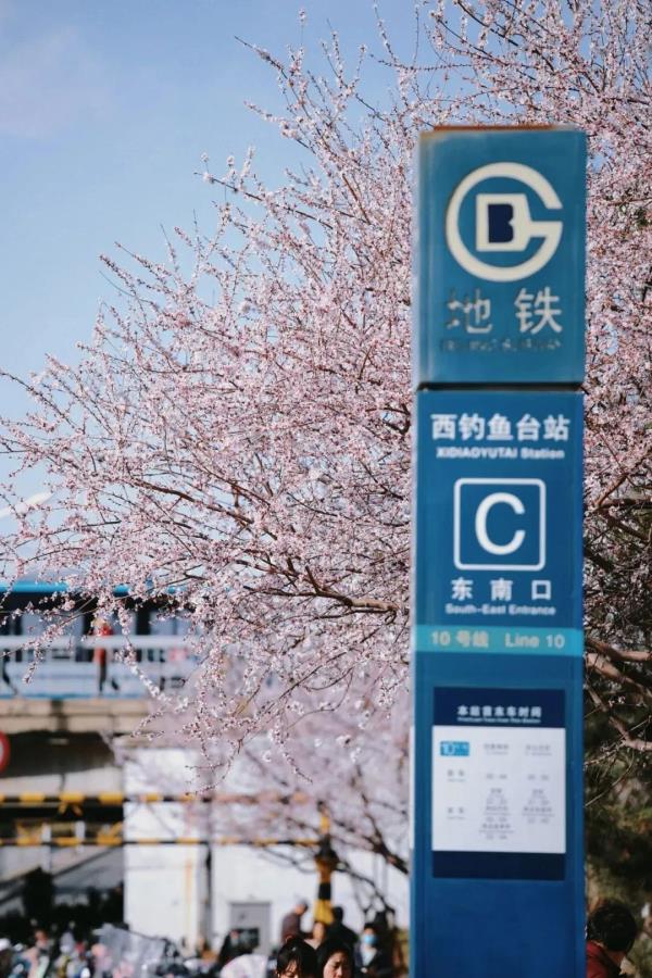 最近，北京海淀这个地铁口，刷屏了！