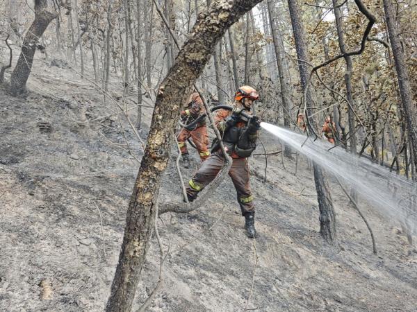 火灾无情人有情 火灾无情人有情
