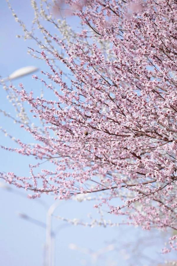 最近，北京海淀这个地铁口，刷屏了！