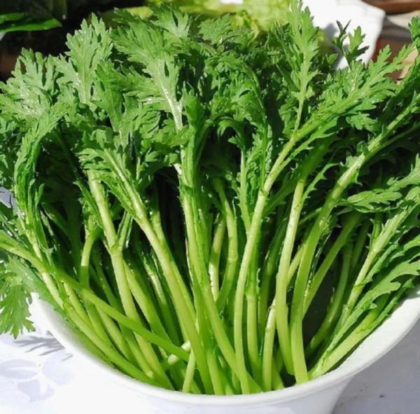 春耕播种,这种植物可搞不得! 春耕播种,这种植物可搞不得!