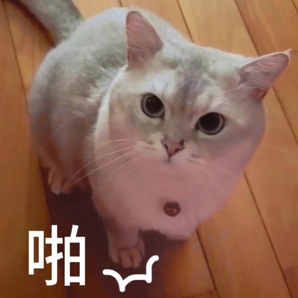 多人受害！海底潜水时突然被陌生人摘下面罩