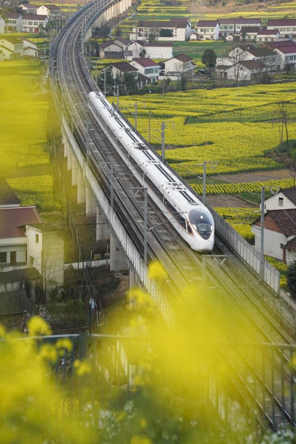 开往春天的列车