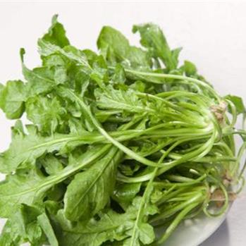 春耕播种,这种植物可搞不得! 春耕播种,这种植物可搞不得!