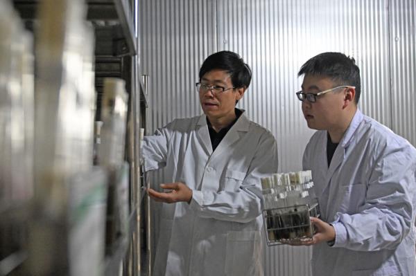 探访国家农业环境微生物种质资源库 探访国家农业环境微生物种质资源库