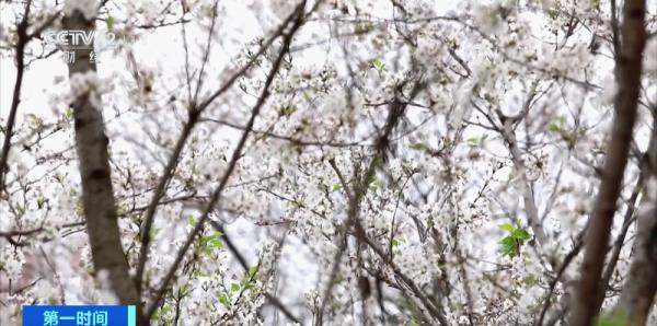 价格跌超40%！出发→