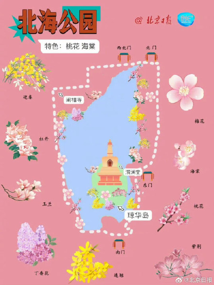 春日来信!打卡北京十个春花绽放的公园 春日来信!打卡北京十个春花绽放的公园