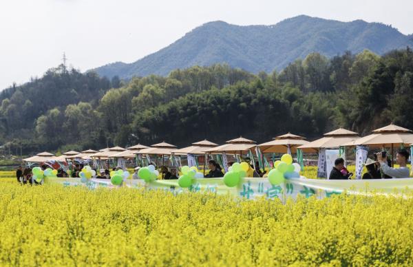 浙江诸暨：万亩花田扮靓美丽乡村