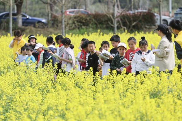 浙江诸暨：万亩花田扮靓美丽乡村