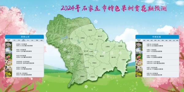 石家庄春花进入最佳观赏期 石家庄春花进入最佳观赏期