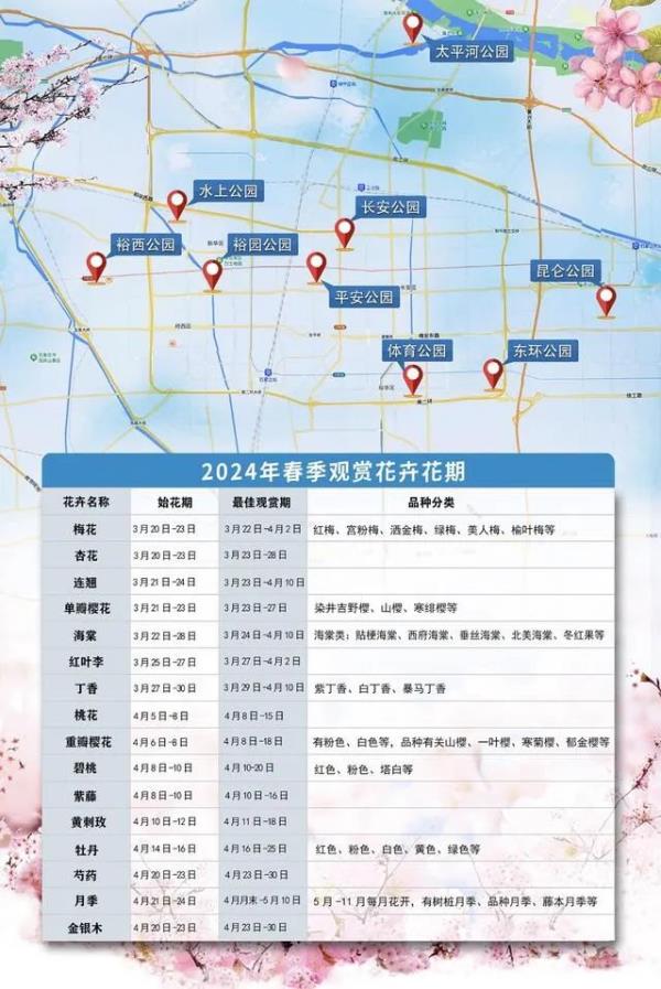 石家庄春花进入最佳观赏期 石家庄春花进入最佳观赏期