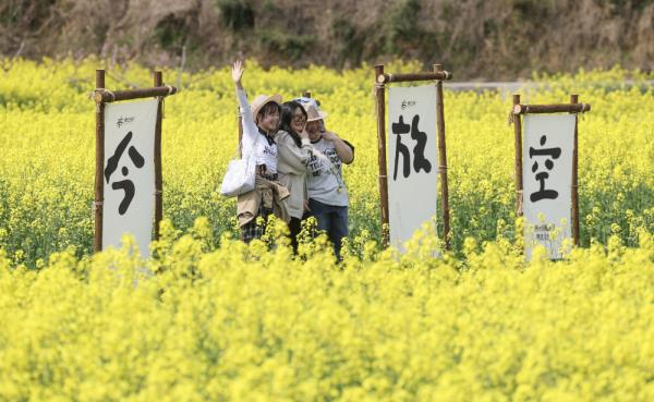 浙江诸暨：万亩花田扮靓美丽乡村