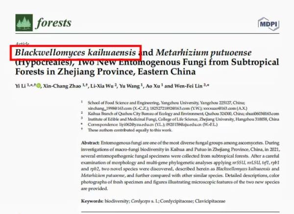 钱塘江源头发现虫草全球新物种