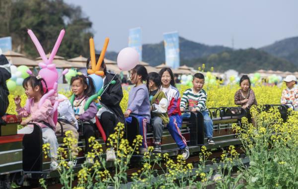 浙江诸暨：万亩花田扮靓美丽乡村