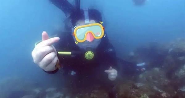 游客潜水时被摘面罩推销！惊魂一刻为何频现？