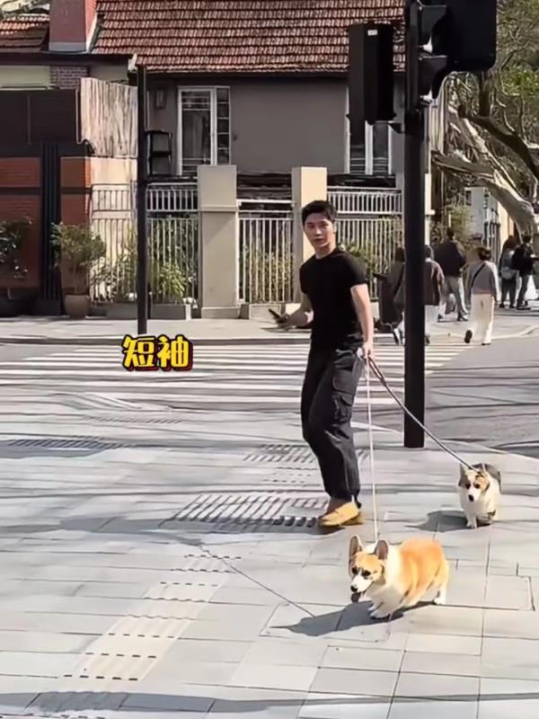 上海入春了？先别急……这个双休全是雨！清明定点扫墓班车今日投入运营→