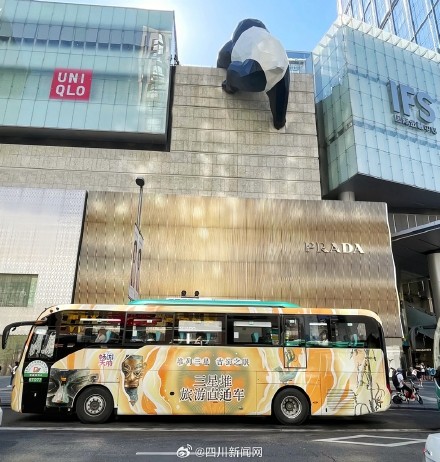 一站式打卡金沙遗址和三星堆！三星堆旅游直通车2号线有新调整