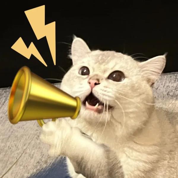 今日正式开票！汪顺、张雨霏、覃海洋……泳坛名将齐聚深圳！