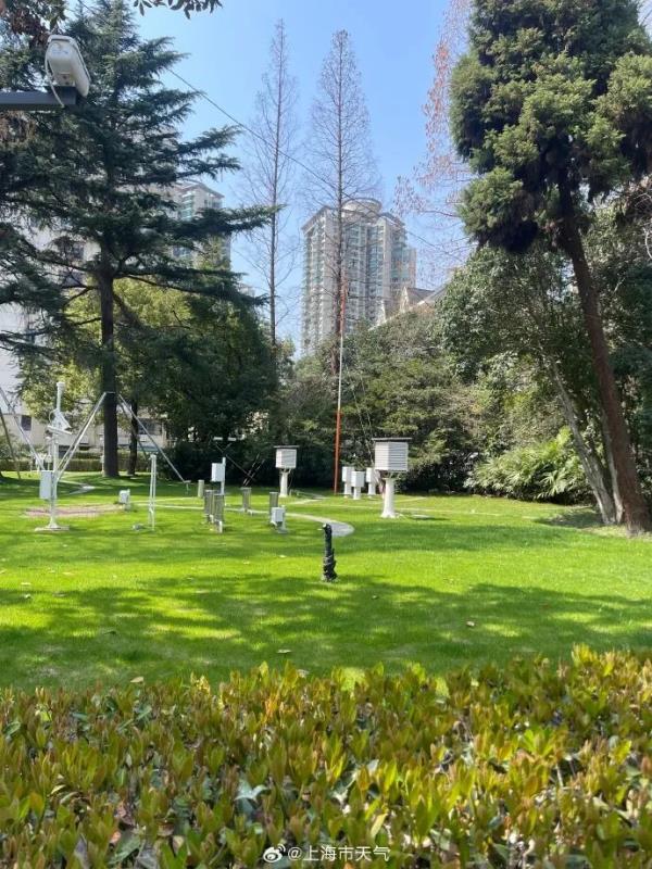 上海入春了吗？气象局疯狂暗示，就等今天临门一脚！