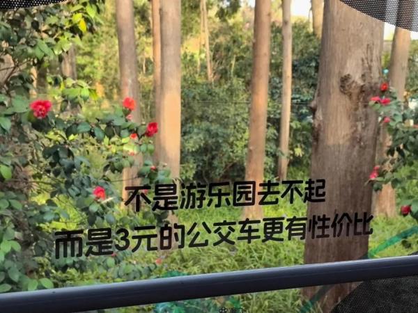 3块钱的“过山车”火了……网友:我的心都飞起来了 3块钱的“过山车”火了……网友:我的心都飞起来了