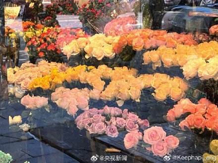 一起拍花吧!随手拍一朵花 一起拍花吧!随手拍一朵花