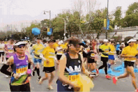 2024武汉马拉松鸣枪起跑 2024武汉马拉松鸣枪起跑
