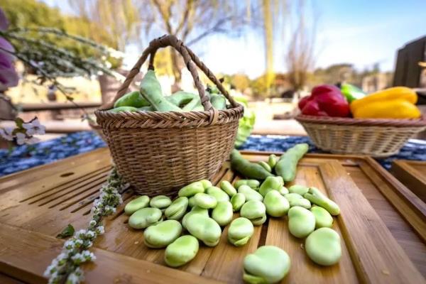 即将大量上市！苏州人最爱这两个品种→