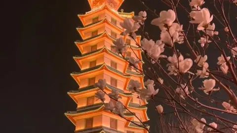 越夜越好玩！河南多地打造夜游新体验