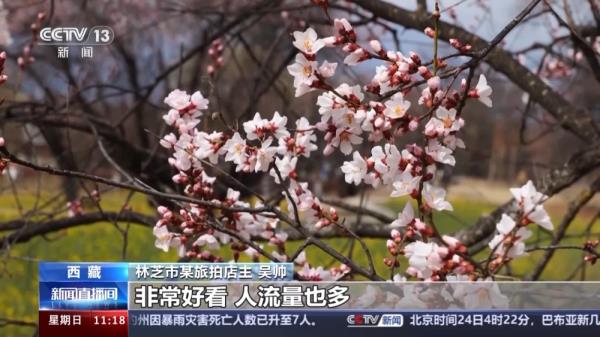 西藏文旅产业蓬勃发展 今年前两月接待游客超320万人次