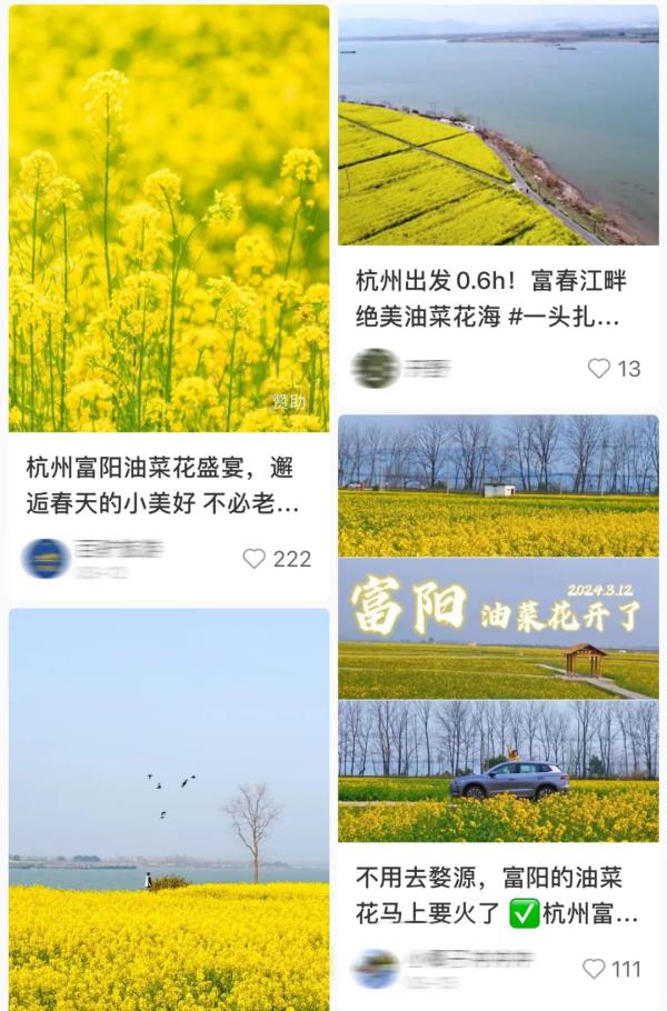 直冲30℃！快！杭州这一幕已惊艳全网，上千亩啊......