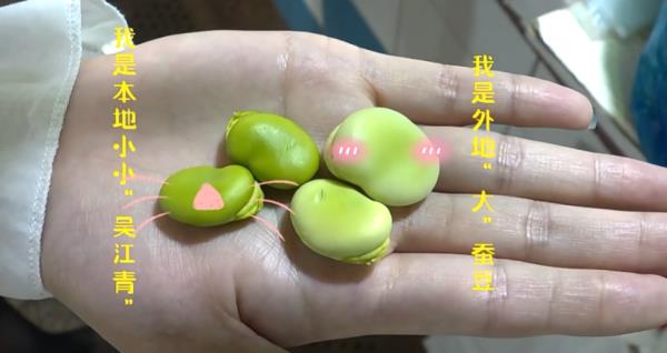 即将大量上市！苏州人最爱这两个品种→