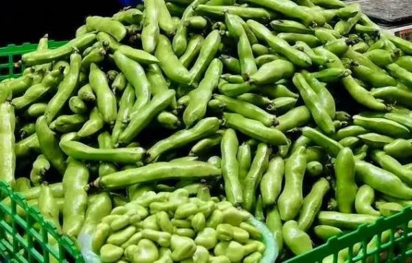 即将大量上市！苏州人最爱这两个品种→