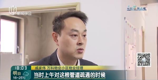 上海小夫妻婚房变“粪房”,罪魁祸首根本想不到!保险公司:家具擦擦还能用 上海小夫妻婚房变“粪房”,罪魁祸首根本想不到!保险公司:家具擦擦还能用