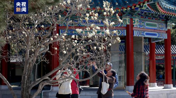 花开北京!132处赏花片区邀市民游客领略京城春色 花开北京!132处赏花片区邀市民游客领略京城春色