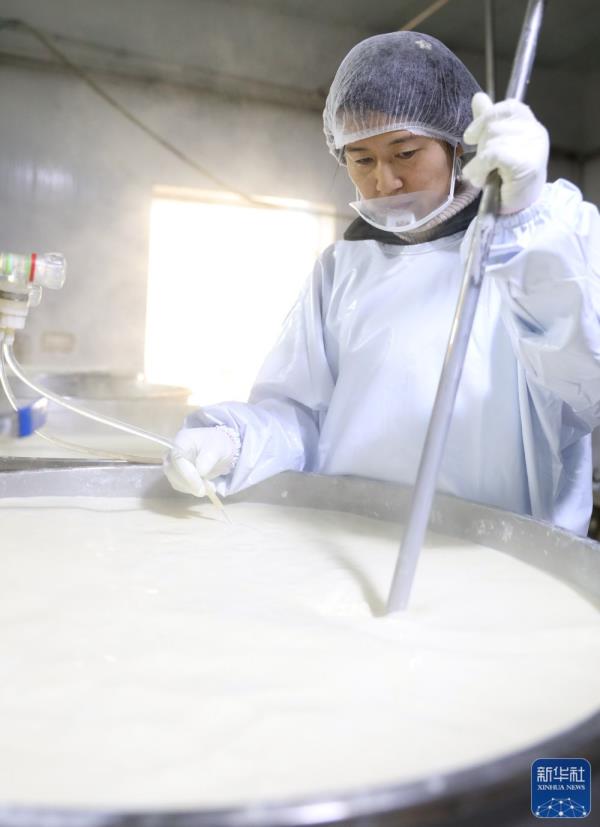 一张干豆腐的诞生——探访“干豆腐之乡”