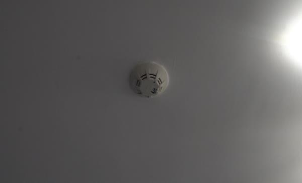 深夜，它、他、他们...救了一家四口