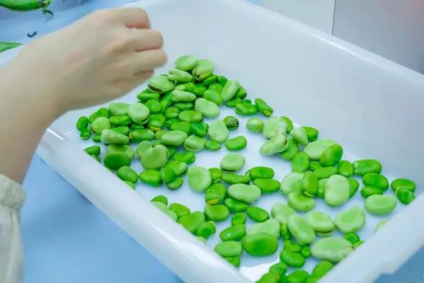 即将大量上市！苏州人最爱这两个品种→