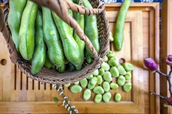 即将大量上市！苏州人最爱这两个品种→